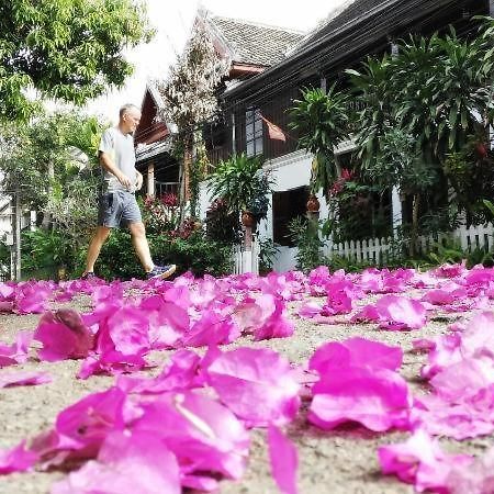 Lotus Corner - Heritage B&B Λουάνγκ Πραμπάνγκ Εξωτερικό φωτογραφία