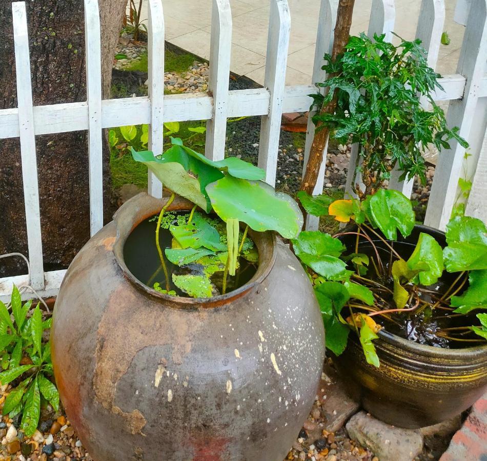 Lotus Corner - Heritage B&B Λουάνγκ Πραμπάνγκ Εξωτερικό φωτογραφία
